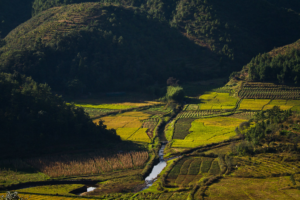 Mawphlang, Meghalaya