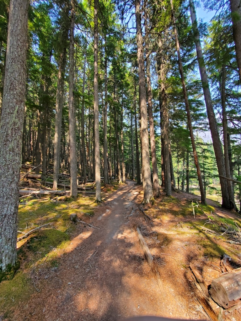 Sahyadri Sacred Groves (Maharashtra)