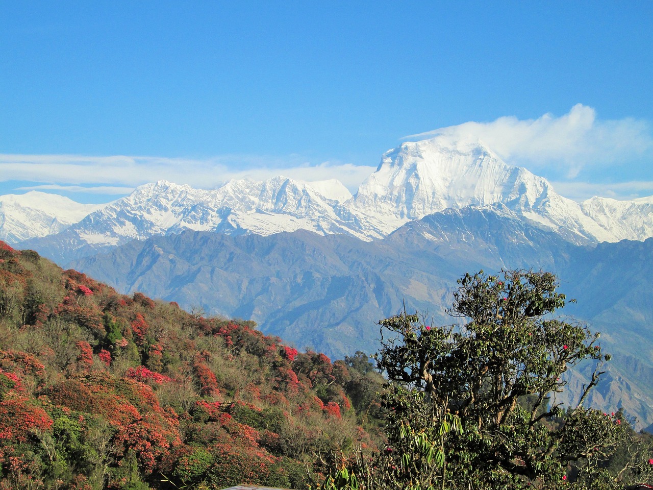 himalaya